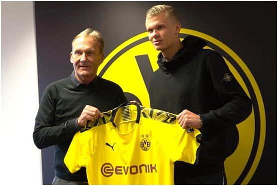 判决书：原天津泰达球员白某峰因受贿判有期徒刑一年，缓刑一年（判决书显示：前天津泰达球员白某峰因受贿获刑一年，缓刑一年）